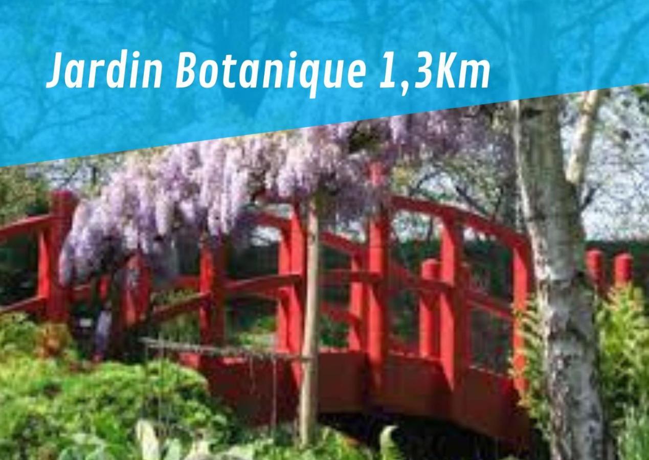 By'Ona Marquisat Au Calme A 2 Pas De L'Adour Apartment Bayonne Ngoại thất bức ảnh