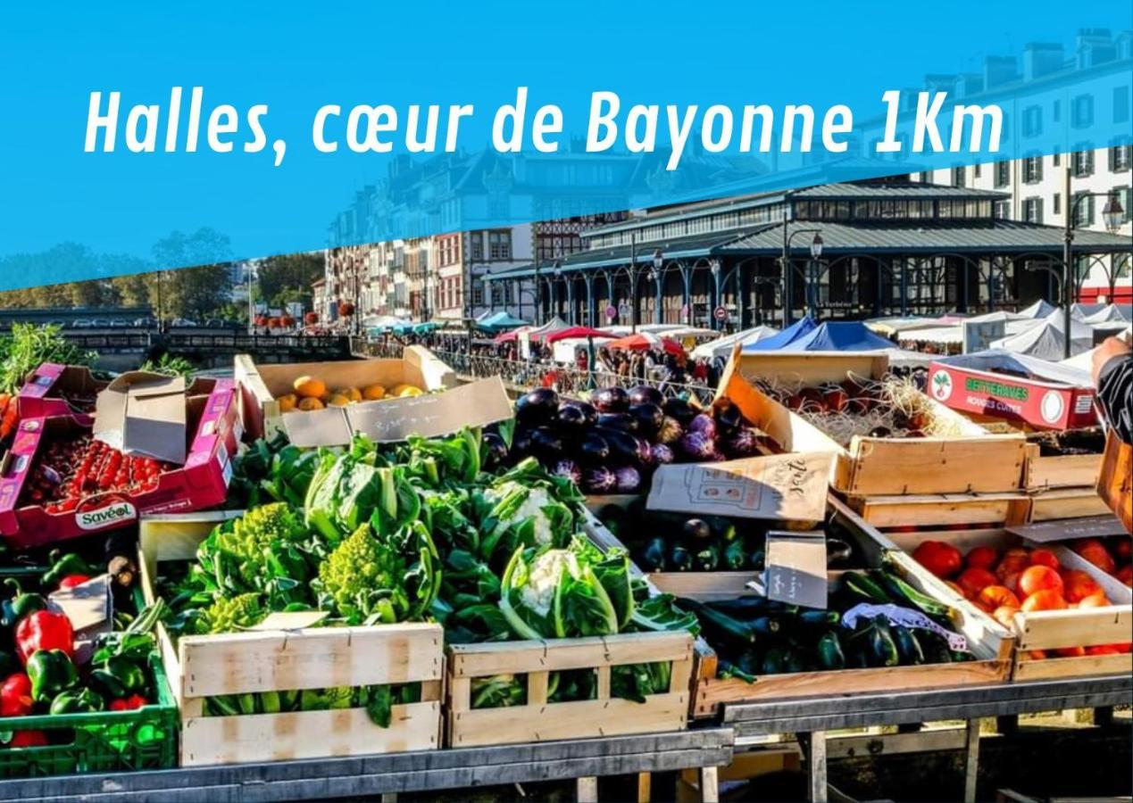By'Ona Marquisat Au Calme A 2 Pas De L'Adour Apartment Bayonne Ngoại thất bức ảnh